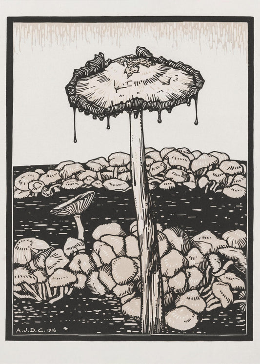 Druipende paddenstoel 1916 | Canvas