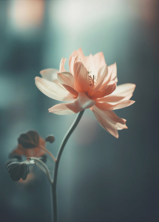 Bloemblaadjessereniteit | Canvas