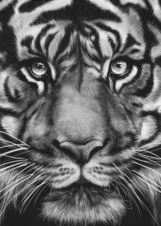 Tijger | Canvas