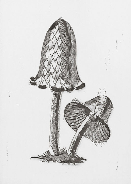 Vintage Inky Cap eetbare paddenstoel zwart/wit helder | Canvas