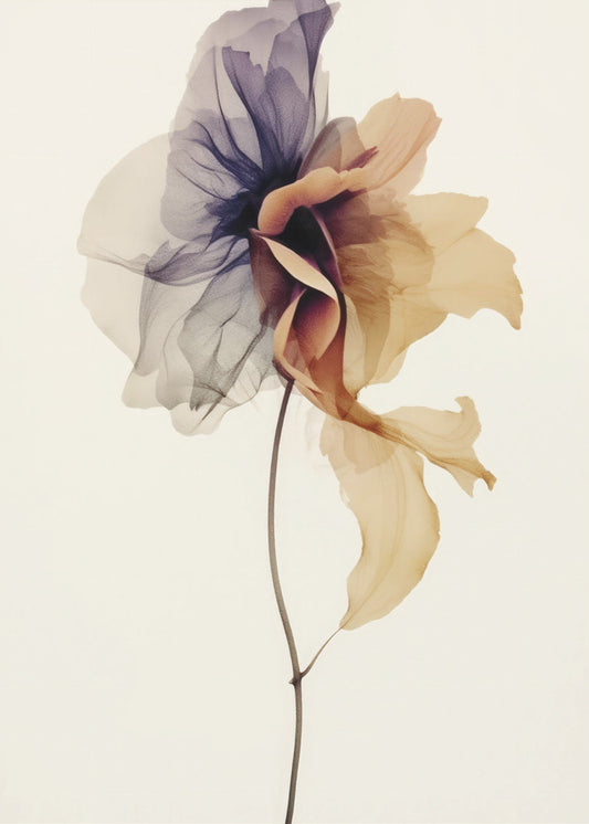 Chiffonbloem | Canvas
