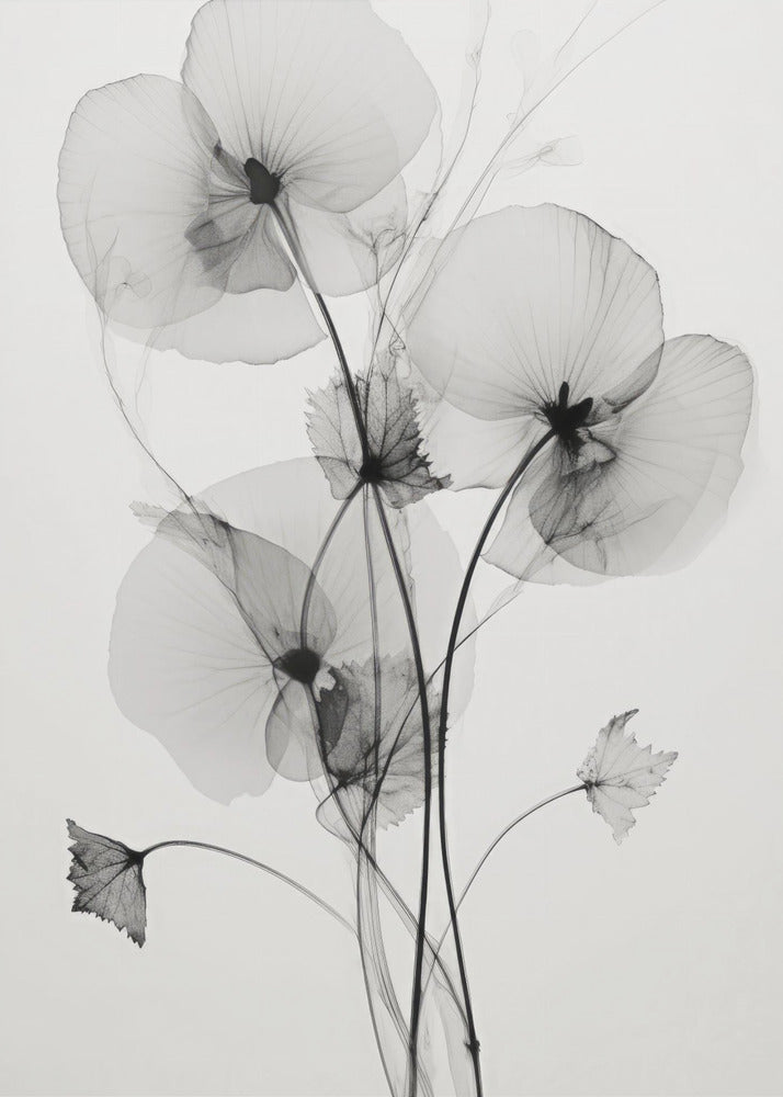 Transparante Botanic No1 | Poster