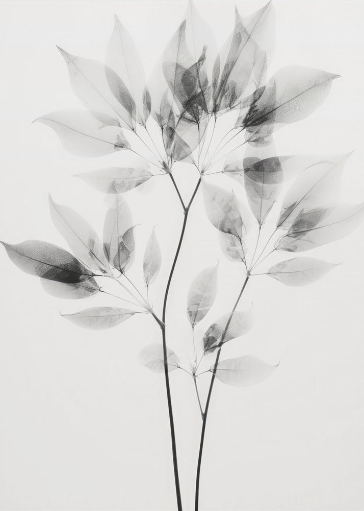 Transparante bladeren | Canvas