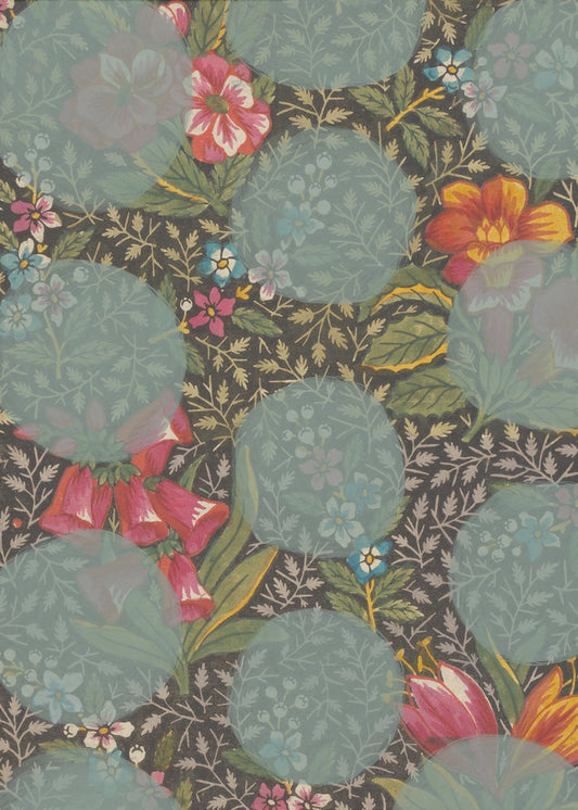 Colourful Flower | Poster