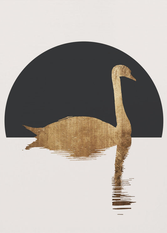 The Swan   Black | Canvas