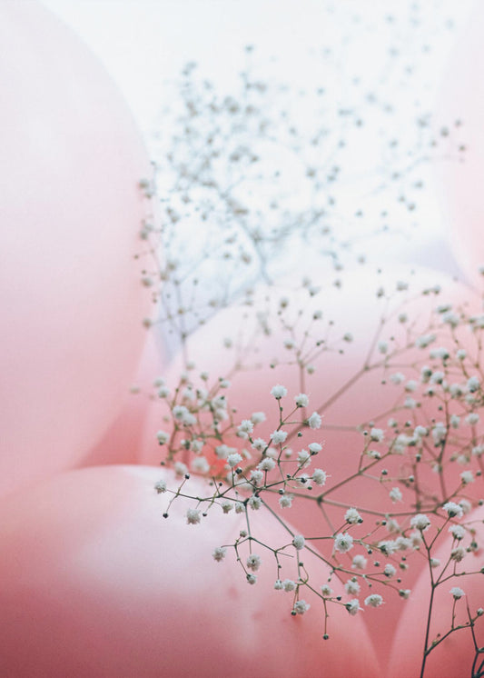 Delicate ballonnen met bloem | Poster