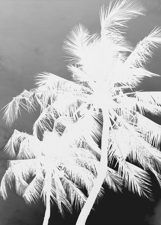 Inverted Palms | Poster