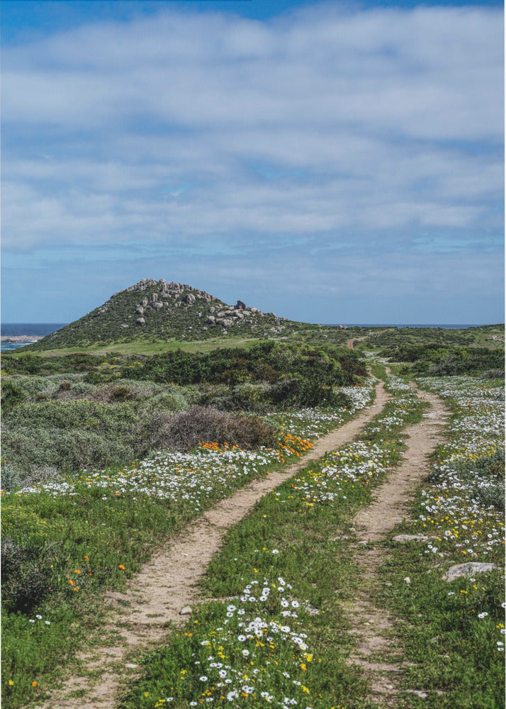 Pad naar sereniteit | Canvas