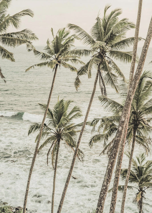 Coastal Serenity | Poster