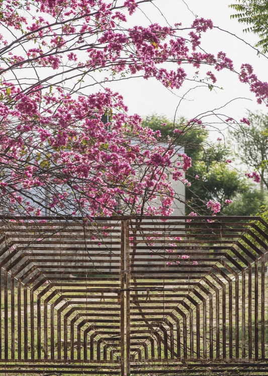 Blossoms Beyond Bars | Poster