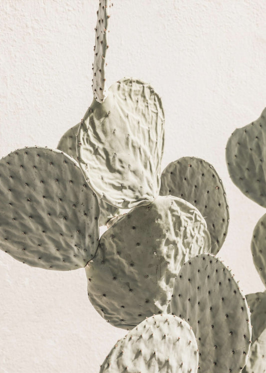 Stekelige elegantie | Canvas