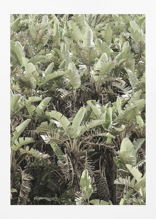 Groen bladerdak | Canvas