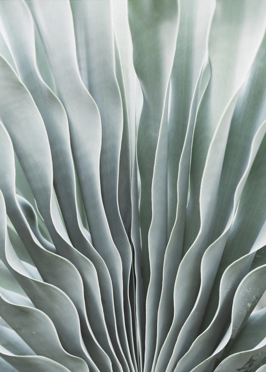 De gratie van de natuur | Canvas