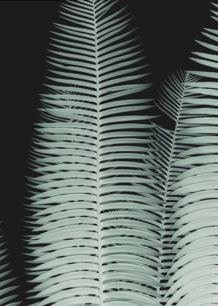 Zilveren Fronds Symfonie | Canvas