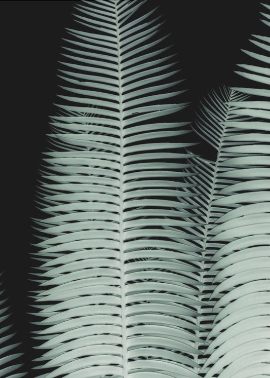 Zilveren Fronds Symfonie | Canvas