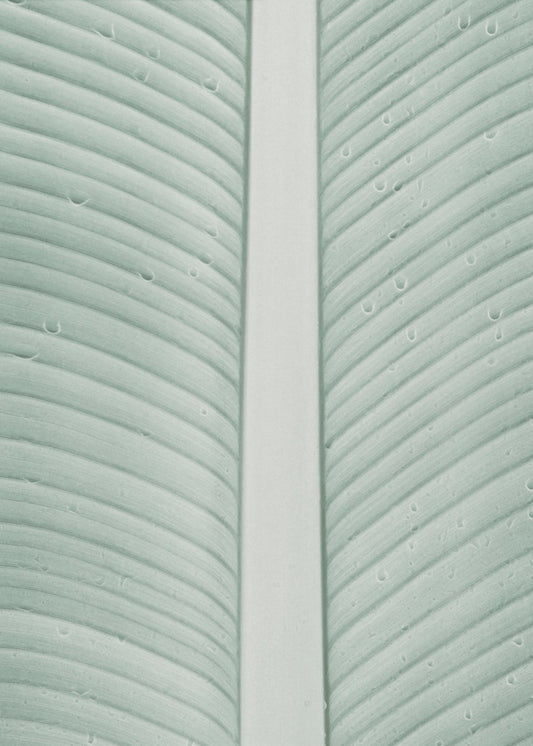 Tropische aderen | Canvas