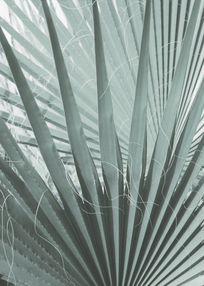 Varengeometrie | Canvas