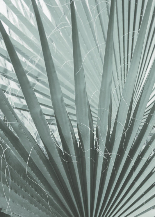 Varengeometrie | Canvas