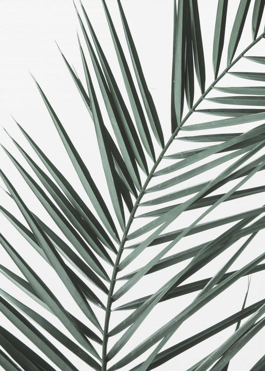 Bladrijke elegantie | Canvas