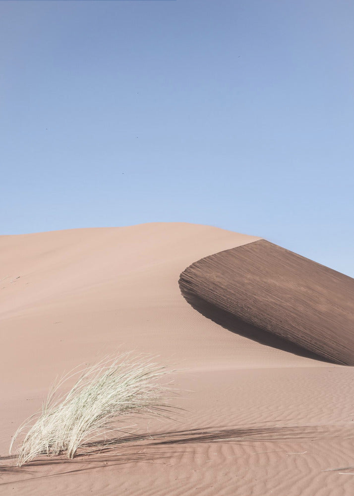 Desert Morningscape | Poster