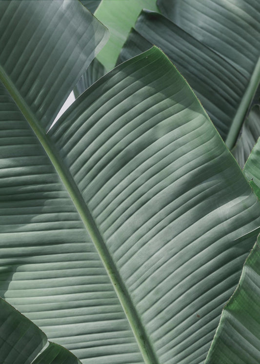 Groene bladgolven | Canvas