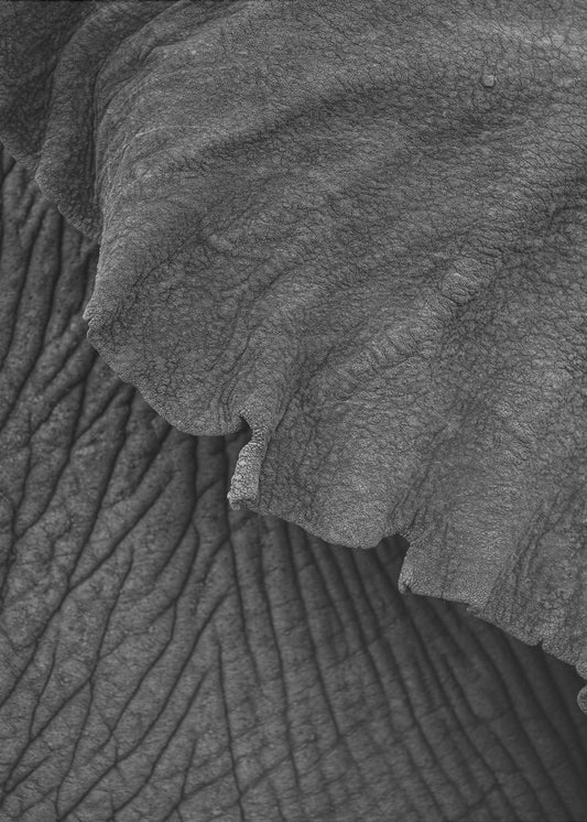 Wrinkles of Time | Poster