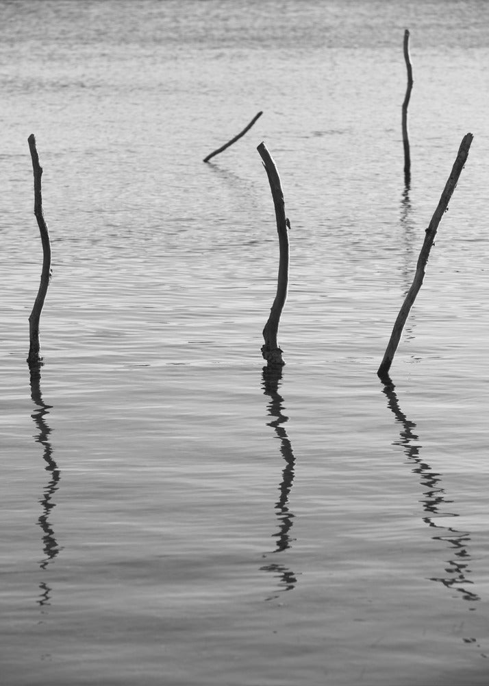 Stille reflecties | Poster