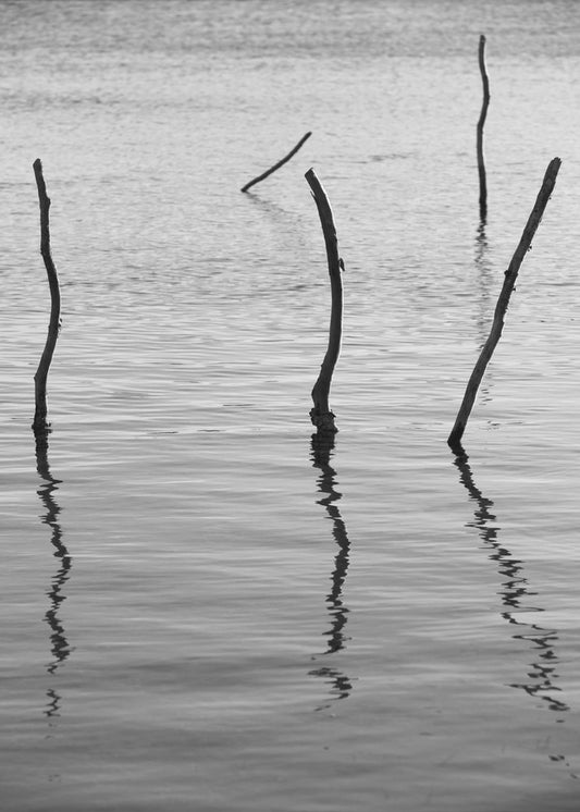 Stille reflecties | Poster