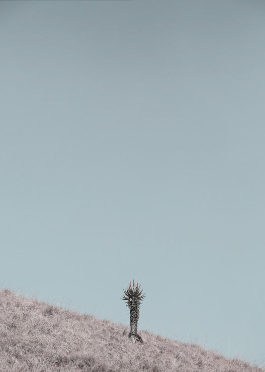 Minimalist Artwork | Poster