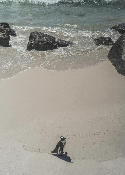 Eenzame strandwandeling | Poster