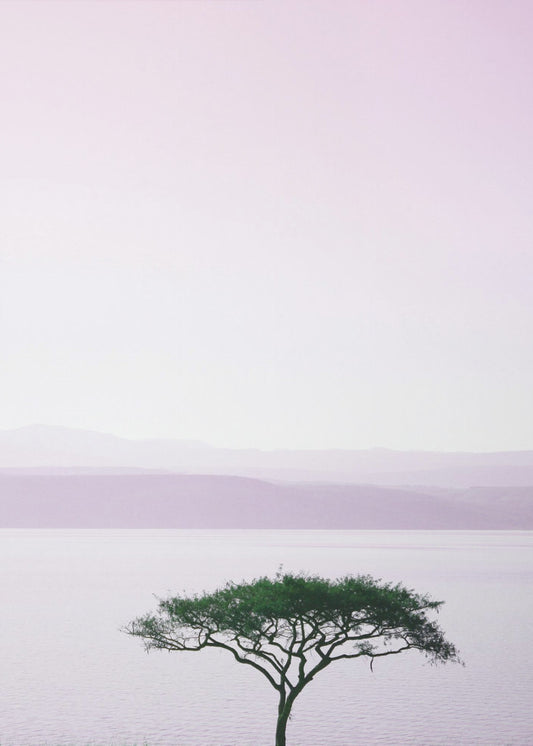 Tree By A Tranquil Lake | Canvas