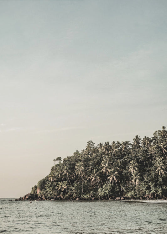 Sunshine Stories | Canvas