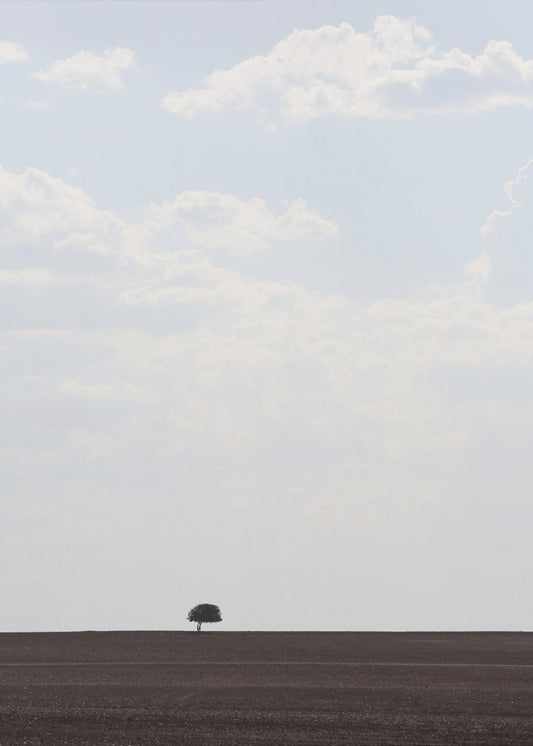 Swart Land | Canvas