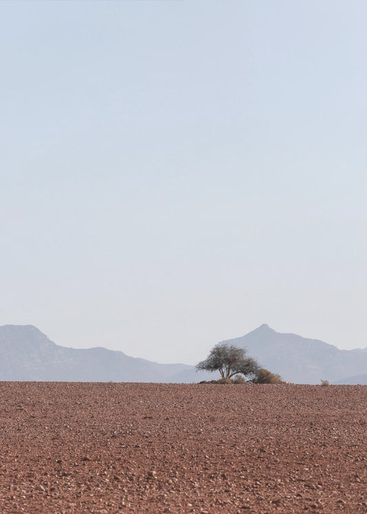 Swart Land | Poster