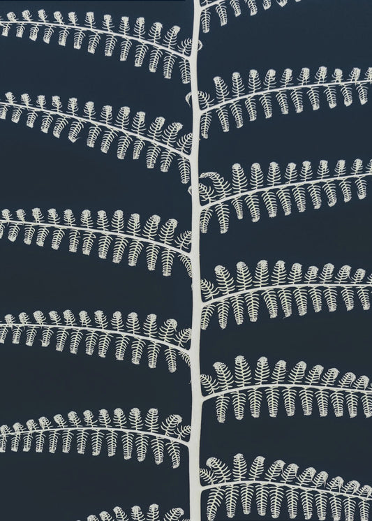 White Fern Patterns | Poster