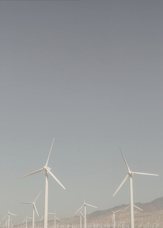 Windmolensymfonie | Canvas