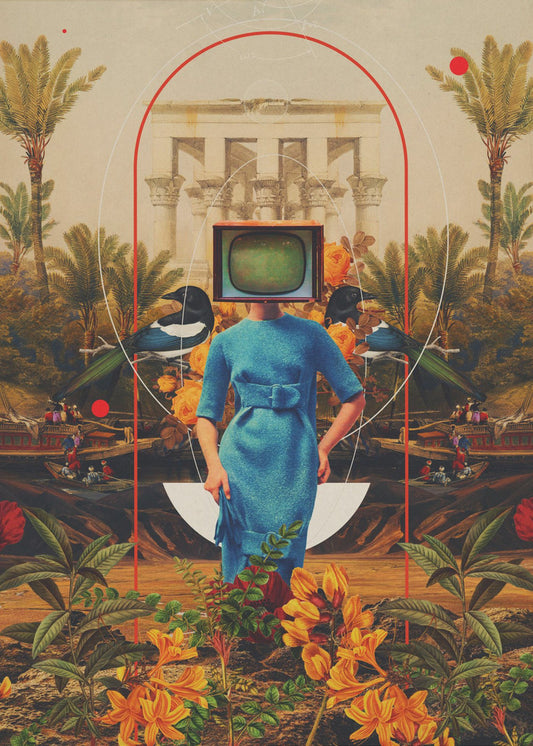 Haar Asymmetrieën | Poster