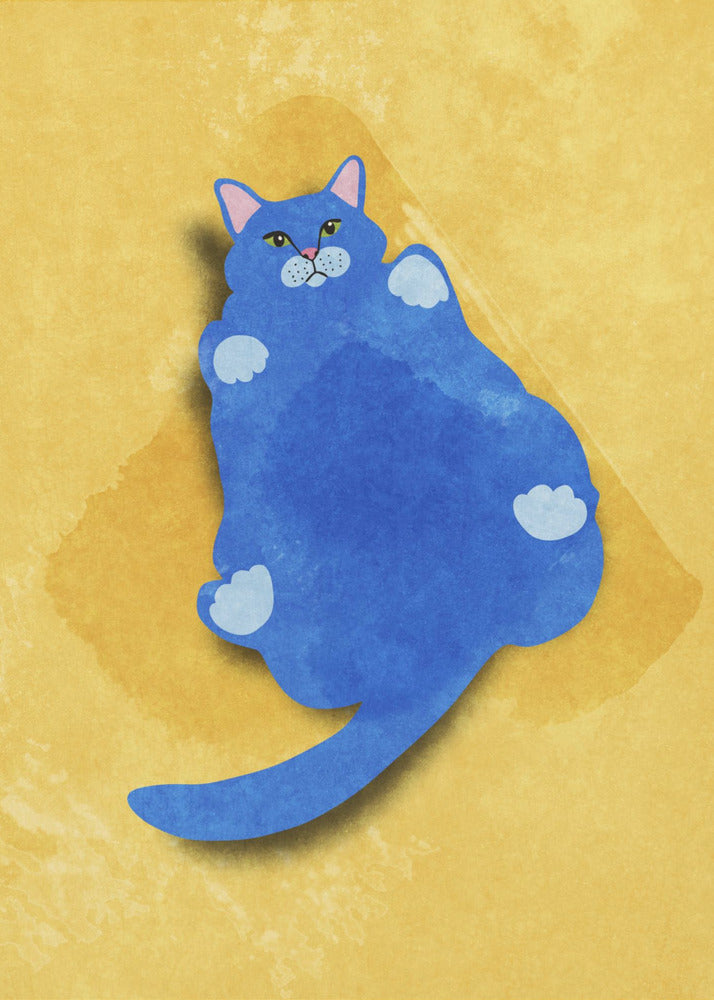 Dikke kat | Canvas