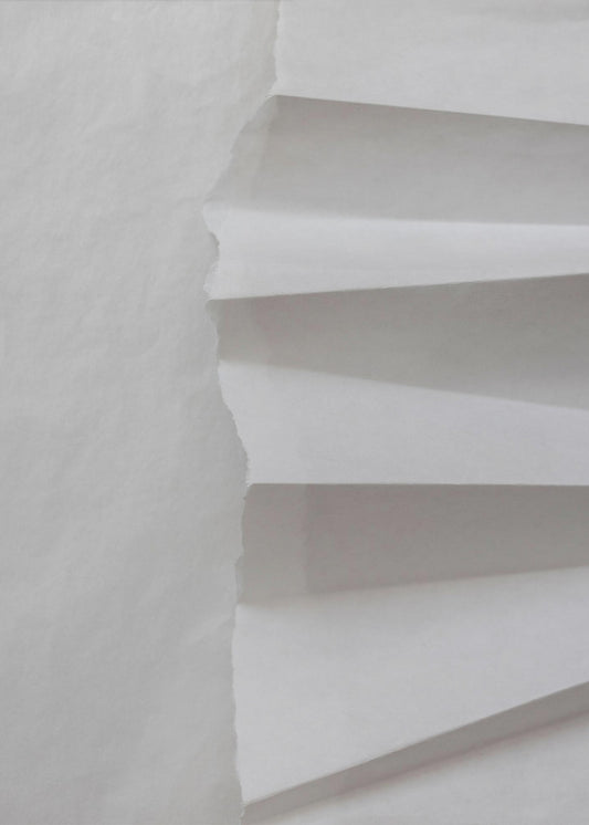 Papierstudies 12 | Canvas