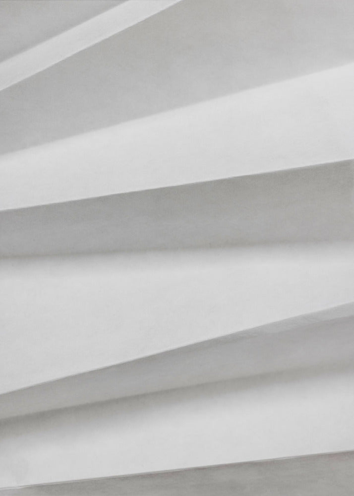 Papierstudies 11 | Canvas