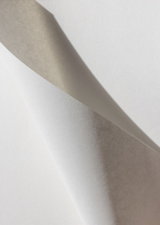 Paper Studies 15 | Poster