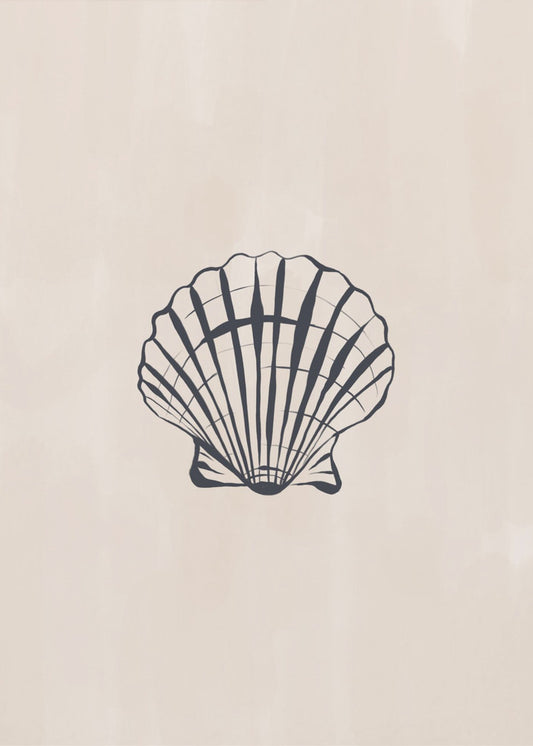 Seashell | Canvas