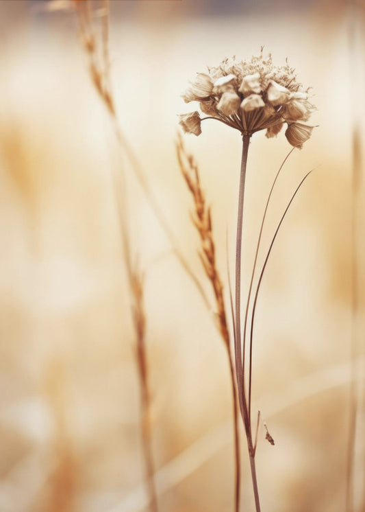 Whispering Fields | Poster