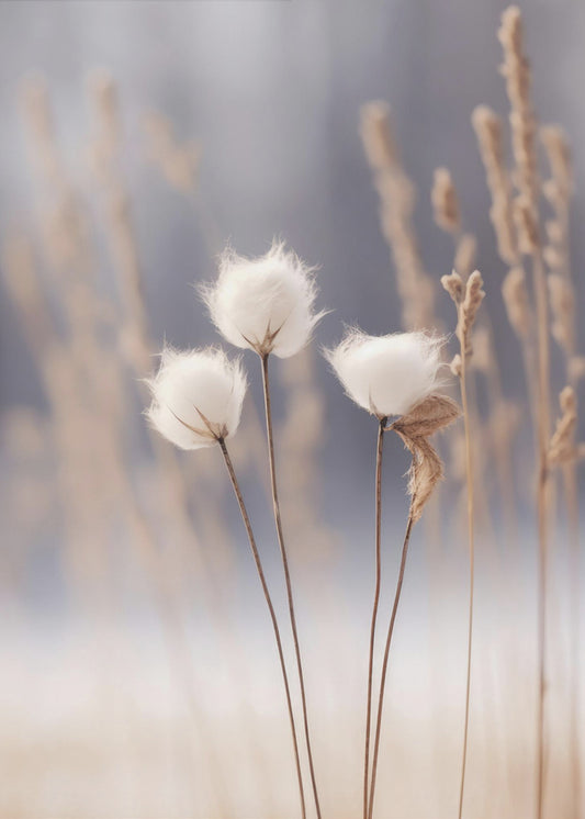 Winter Whispers | Poster