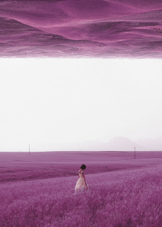 Paarse velden | Poster