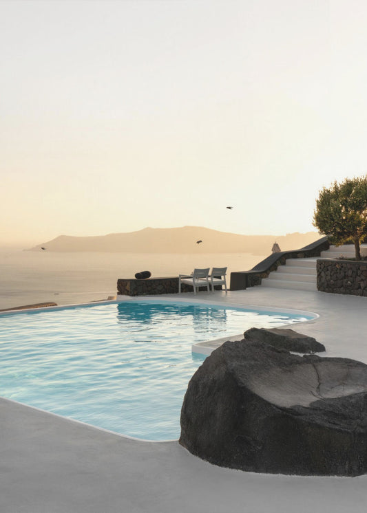 Birds Flying Over Swimming Pool | Poster