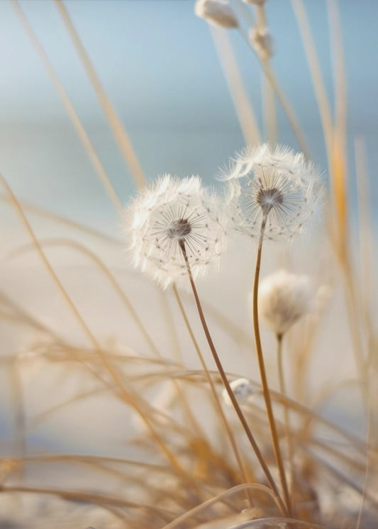 Gefluister in de wind | Canvas