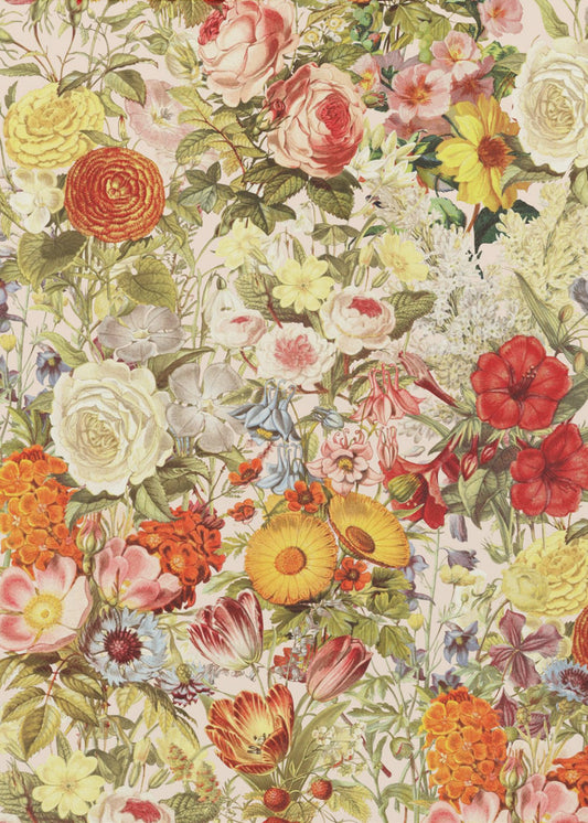 Botany | Canvas