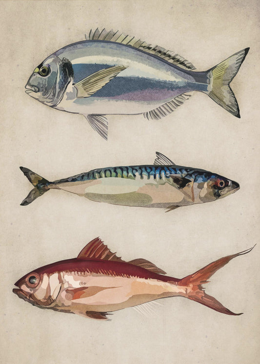Trio van oceaanleven | Poster