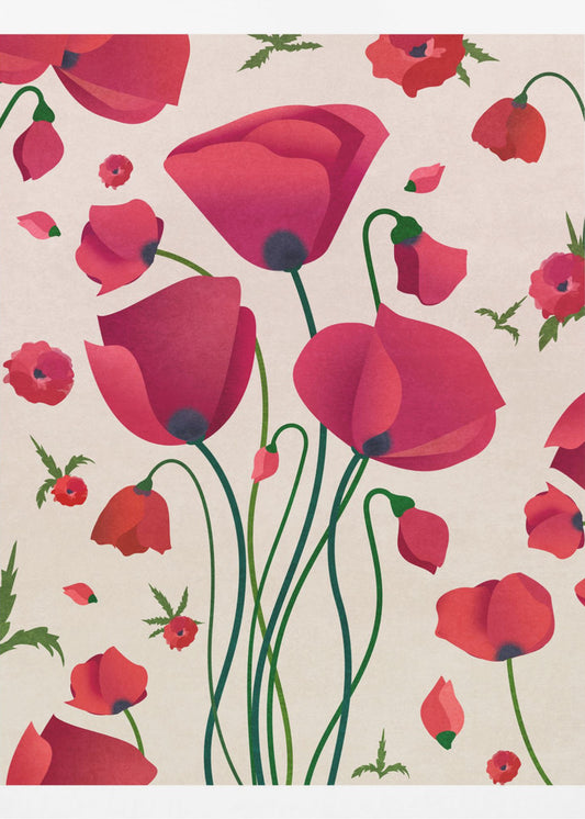 Poppy Blossoms | Canvas